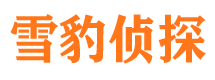 宣汉婚外情调查取证